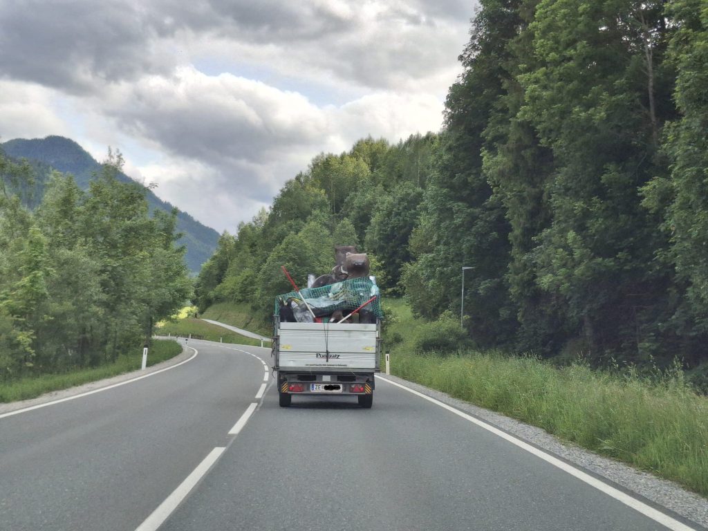 Zwei Bogenschützen zielen mit traditionellen Jagdbögen auf 3D-Ziele im grünen Raurisertal