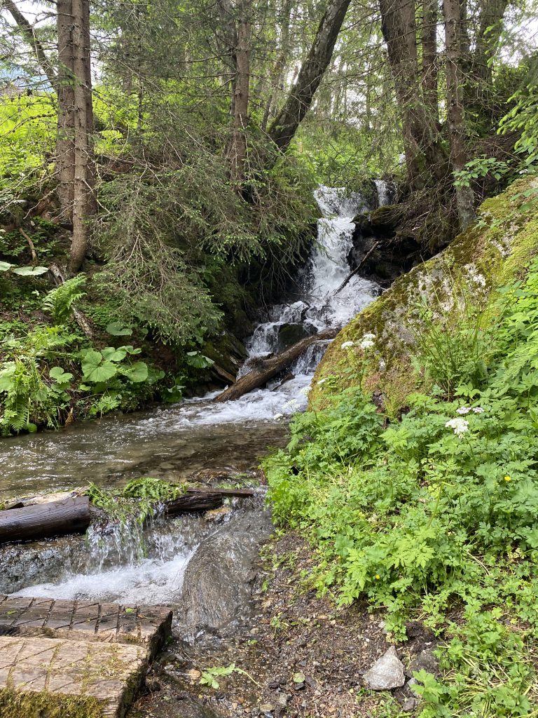Bogenschütze zielt mit traditionellem Jagdbogen im grünen 3D-Parcours im Raurisertal