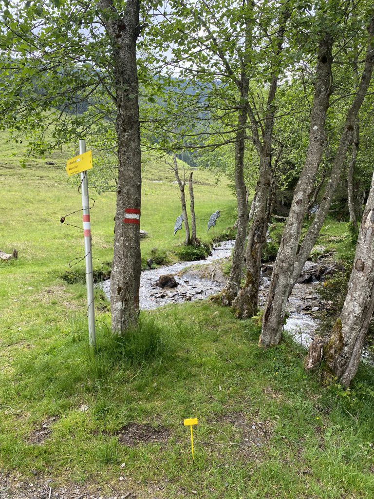 Bogenschütze spannt Jagdbogen auf grünem 3D-Parcours im Raurisertal vor Bergkulisse
