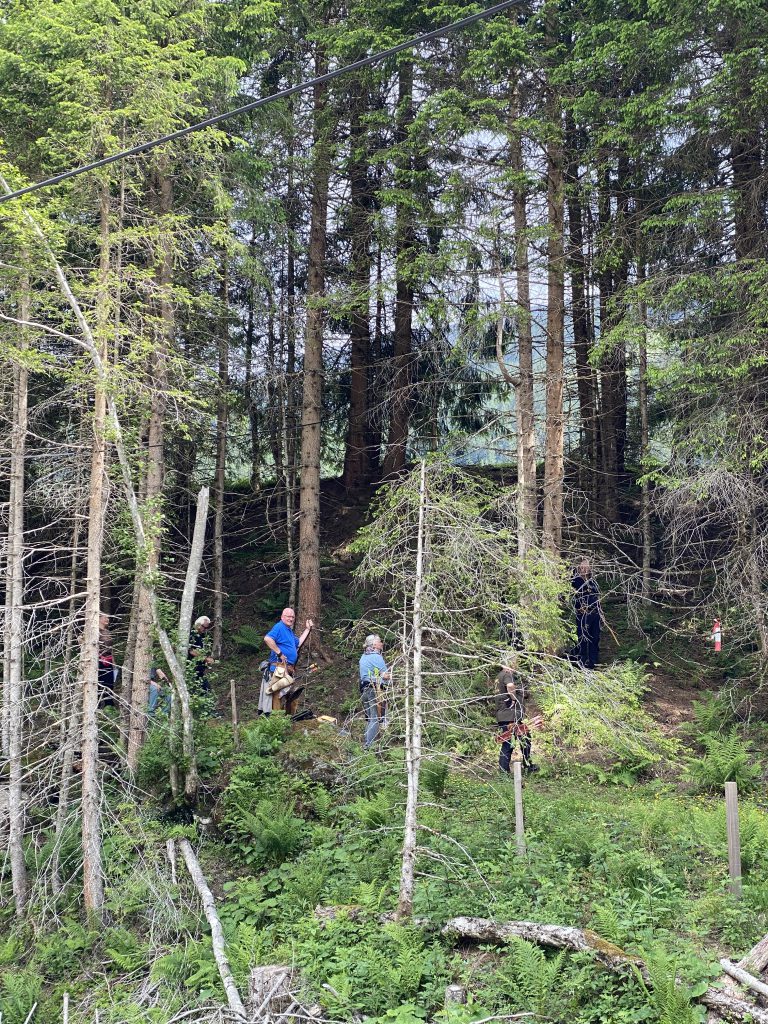Bogenschütze zielt mit Jagdbogen auf 3D-Parcours im grünen Raurisertal, Outdoor-Aktivität