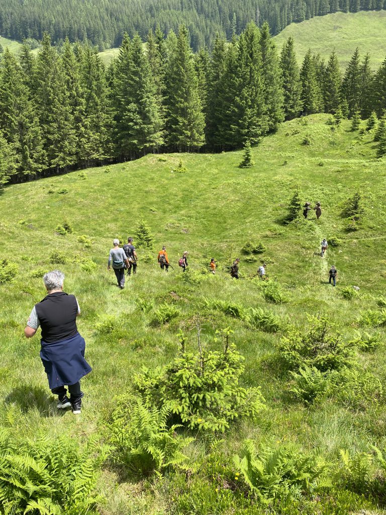 Bogenschütze spannt Jagdbogen auf grünem 3D-Parcours im Raurisertal vor Bergkulisse